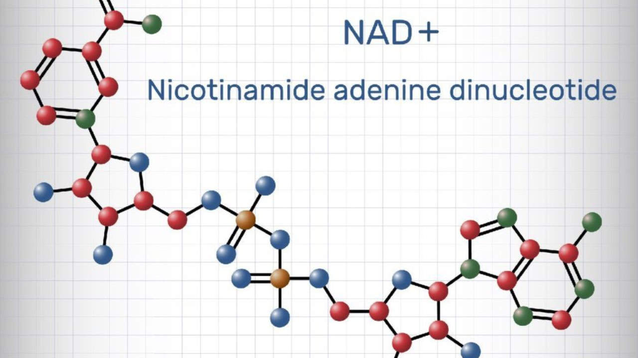 NAD – Nicotinamide Adenine Dinucleotide